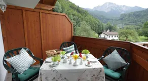 Aparthotel Alpenpark - Image 3