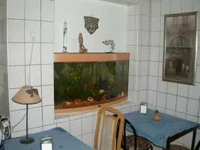 Pension Olé - Image 5