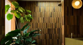 Sun Ranch Byron Bay - Image 5