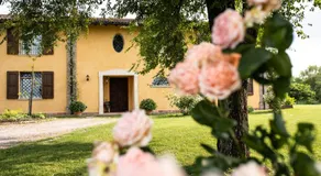 Belvedere - Image 5