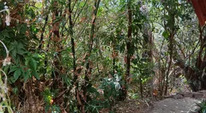 Shantidarshan Homestay - Image 5