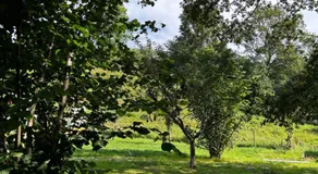 Hotel Boutique Santuario Kunturi - Adults Only by Molino de Tresgrandas - Image 5