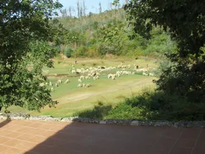Traditional Mansion in Treixedo With Swimming Pool - Image 2