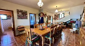 Tropical Paradice Villa - Image 3