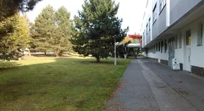 Zimní Stadion Tábor - Image 4