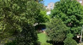 CaYoli - Image 4