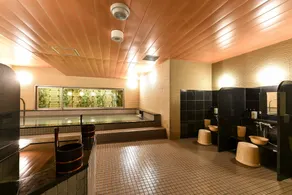 Hida Takayama Washington Hotel Plaza - Image 4