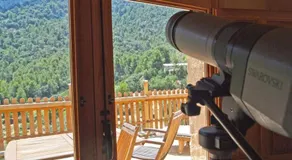 Observatorio de Buitres Mas de Bunyol - Image 3