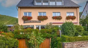 Pension Auf der Olk mit Röpertsmühle - Image 3
