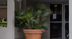 la petit maisonette de manu - Image 4