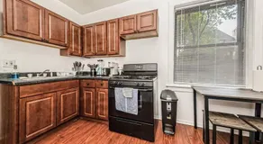 2 BR Apt Near U Chicago Campus & the Lakefront! - Image 3