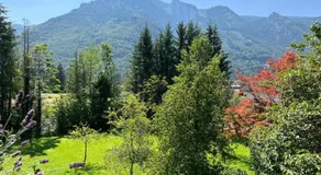 Esterer - Image 3
