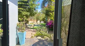 Tropical Oasis - Image 4