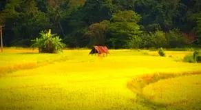 Calmira Boutique Stay - Image 4