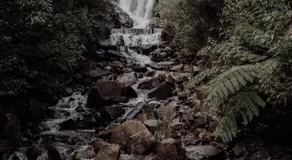 Lithgow Falls Marysville - Image 5