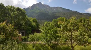 Grosse, schöne Wohnung im Grünen - Image 2
