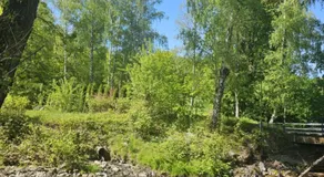 Bajkowa Przystań - Image 4