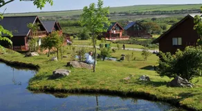 PointBreak Sleeps 12 with hot tub-Great celebration house-Dog friendly - Image 5