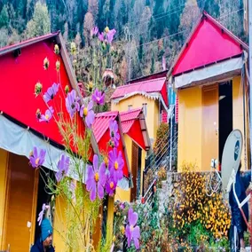 Shivalik Cottage Auli - Image 5