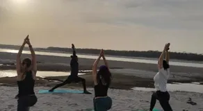 Wildflow jungle yoga safari and homestay - Image 3