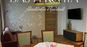 Stadt'l Villa Radstadt - Image 5