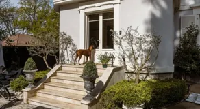 Residence Mont-Blanc - Image 2