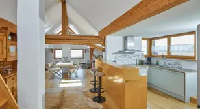 Außergewöhnliches Loft am Pfänderhang mit Seeblick - Image 3