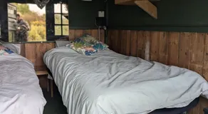 the reedy cabin - Image 4