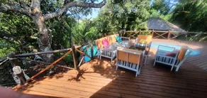 Baleia Azul 24 - Image 5