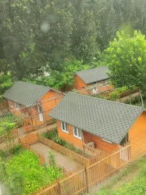 Royal Tree Hotel - Image 5