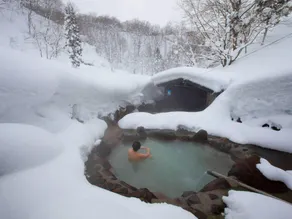 Ryokan Magoroku Onsen - Image 2