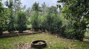 Organic Farmers Tent & Trekking - Image 3