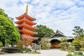 COCHI HAKATA - Image 5