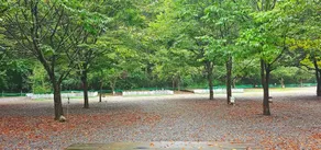Hongcheon Bulmeongmeong Glamping Camping Site - Image 5