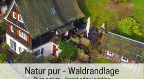 Waldhaus: Sauna | Kamin - Image 5