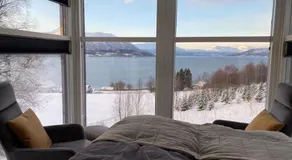 Arctic Sky Sanctuary - Image 3