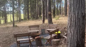 Balingup TimberTop Cottages - Image 3
