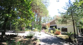 Villa alla Baia d'argento - Image 5