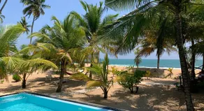 Tropical Garden - Image 4