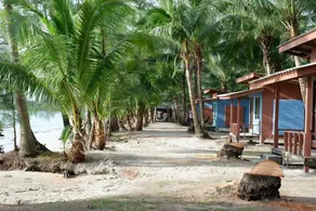 Tiger Hut - Image 3