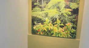 D GAYA HOTEL Cameron Highlands - Image 4