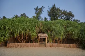 Patnem Dwarka - Image 3