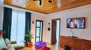 WoodStar/ტყის ვარსკვლავი - Image 2