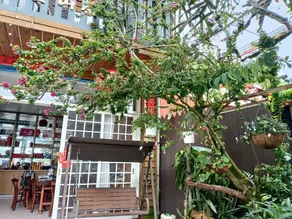 Dafang Tea B&B - Image 2