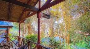 Cabañas el Bosque Patagónico - Image 5