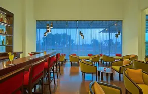 Ginger Gondia - Image 5