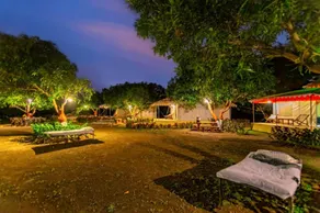 Amber Resort - Image 4