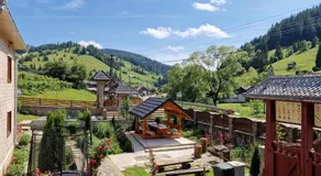 Casa Agroturistica Tarancuta din Vatra Moldovitei - Image 4