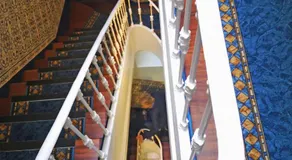 Safira - Image 5