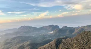 Hotel mango tree nearest Adam's peak - Image 4